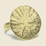 Circe Ring - Bronze - Amanda Hunt - STAG Provisions - W - Accessories - Ring
